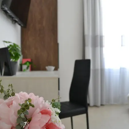 Guest house Dion *