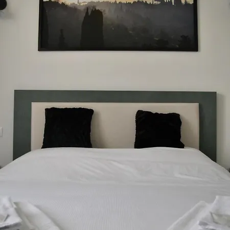 Guest house Dion *